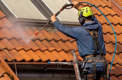 Démoussage et hydrofuge de toiture à Lanarce
